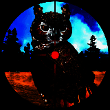 3D猫头鹰狩猎模拟 手机版 V1.0