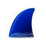 Wireshark官网中文版