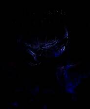 《艾尔登法环：黑夜君临》减少黑夜雨伤害MOD