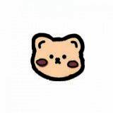 浣熊ios15启动器 升级版 V1.3